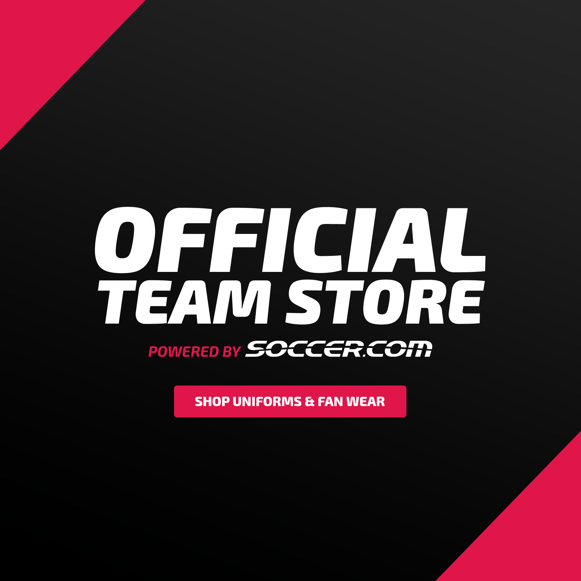 Website - Team Store
